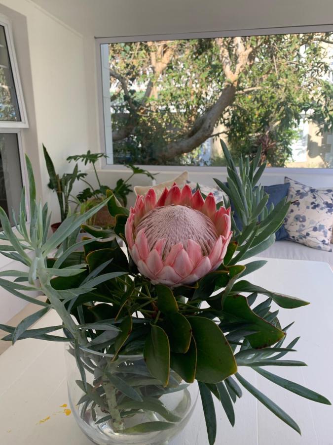 Robin 4270 Villa Plettenberg Bay Ngoại thất bức ảnh