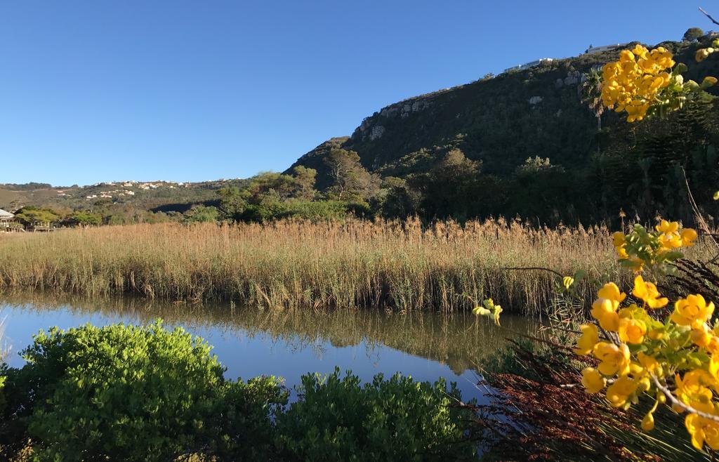 Robin 4270 Villa Plettenberg Bay Ngoại thất bức ảnh