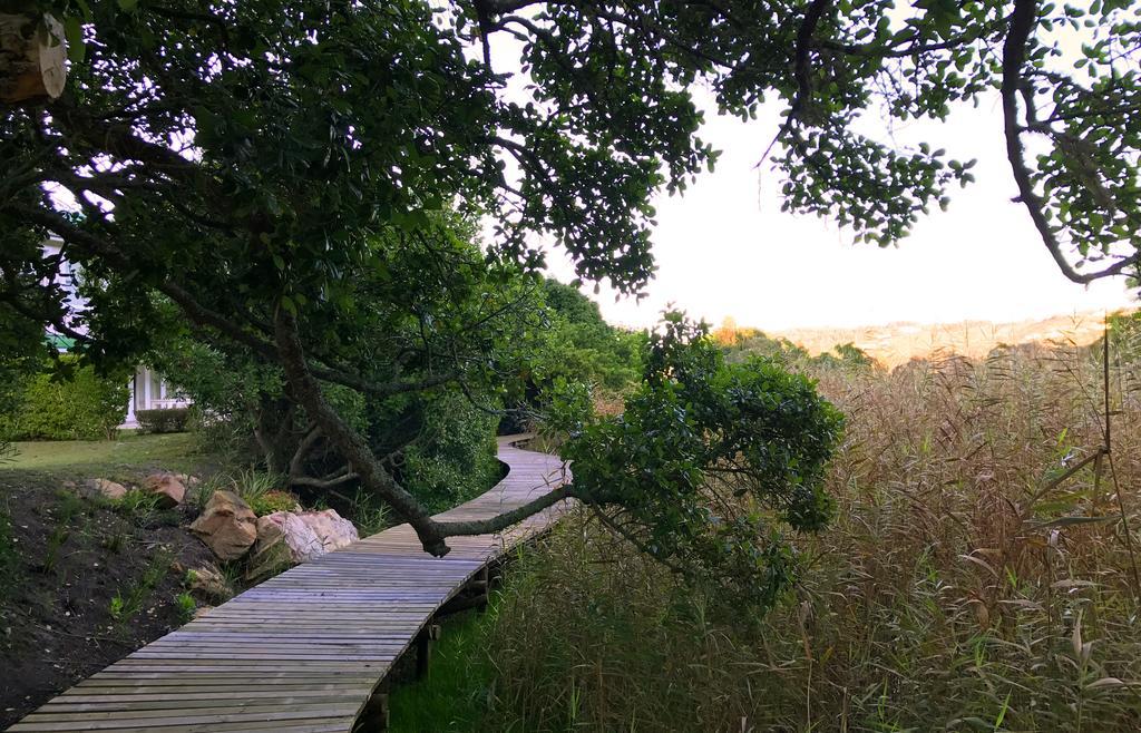 Robin 4270 Villa Plettenberg Bay Ngoại thất bức ảnh